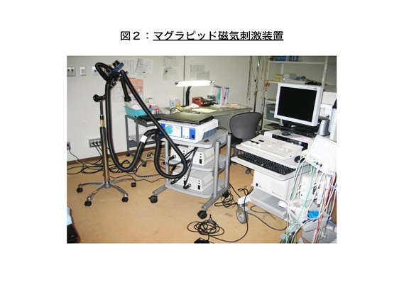 マグラピッド時期刺激装置