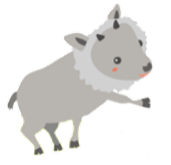 初診当日のご案内