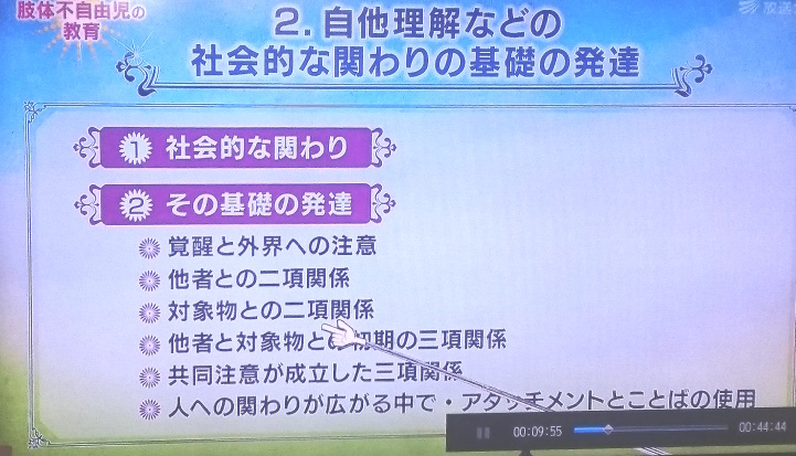 自他理解など社会的関わりの基礎の発達　スライド